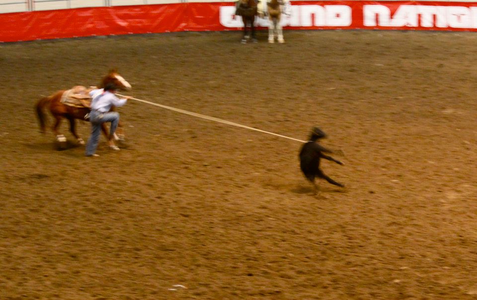 Please do not put any Cow Palace rodeo animals at risk of injury. Just say no to this form of entertainment.