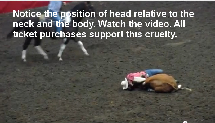 your Tickets to the Grand National Rodeo 2012 at the Cow Palace sponsors cruelty